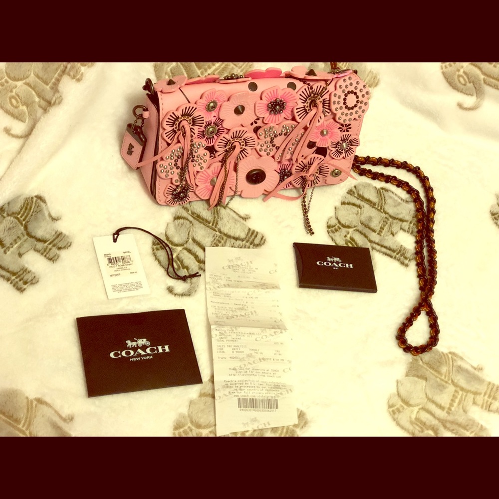 A beautiful hand painted hand cut coach purse!